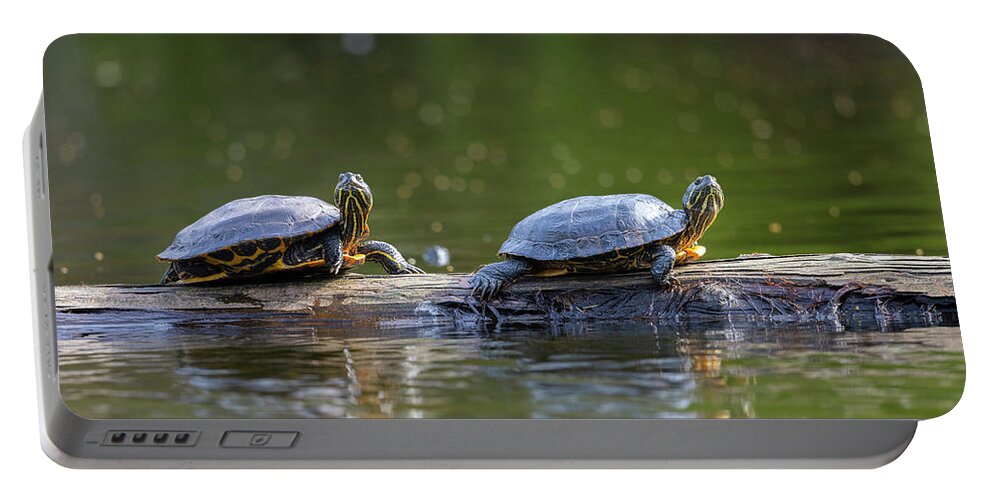 Turtles Portable Battery Charger featuring the photograph Soaking Up The Sun by Bill Cubitt
