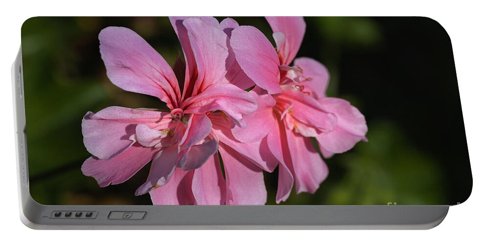 Cranesbills Portable Battery Charger featuring the photograph Soft Pinks Of Geranium by Joy Watson