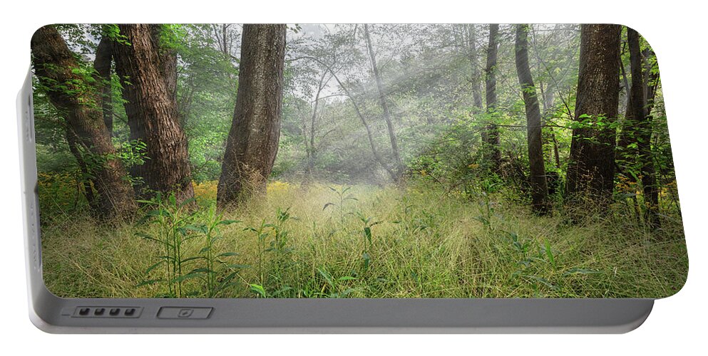 Carolina Portable Battery Charger featuring the photograph Soft Spring Sunbeams by Debra and Dave Vanderlaan