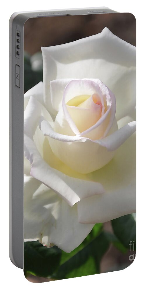 White-rose Portable Battery Charger featuring the digital art Soft White Rose Bloom by Kirt Tisdale