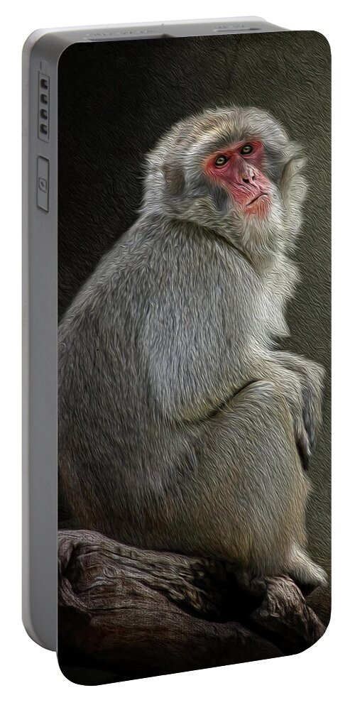 Monkey Portable Battery Charger featuring the digital art Solitude by Maggy Pease