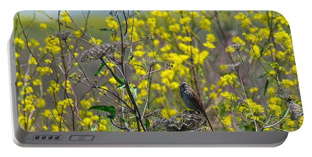 Song Sparrow Portable Battery Charger featuring the photograph Song Sparrow Spring by Steph Gabler
