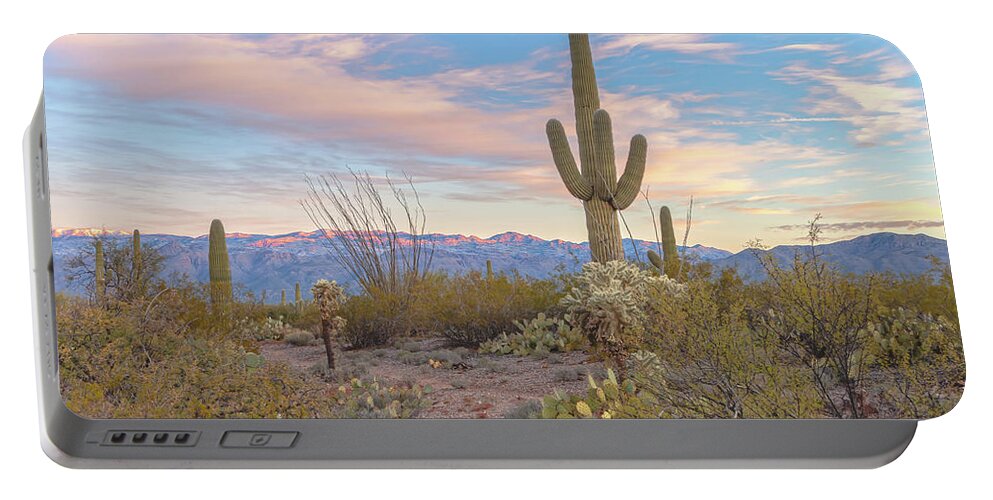 American Southwest Portable Battery Charger featuring the photograph Sonoran Morning by Jonathan Nguyen
