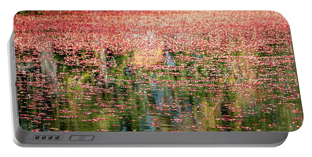 Cranberries Portable Battery Charger featuring the photograph South Jersey Cranberry Bogs by GeeLeesa