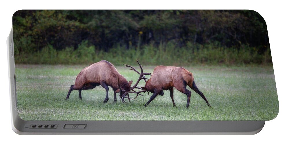 Great Smoky Mountains National Park Portable Battery Charger featuring the photograph Sparring Elk #3 by Robert J Wagner
