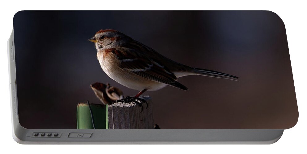 Sparrow Portable Battery Charger featuring the photograph Sparrow on a Post by Flinn Hackett