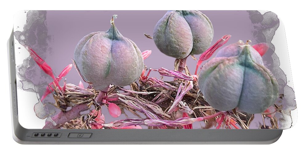 Spider Flower Fruit Photograph Border Purple Red Dried Black Pink Grey Scalloped Peach Iphone Ipad-air Sandiego California Portable Battery Charger featuring the digital art Spider Flower Fruit by Kathleen Boyles