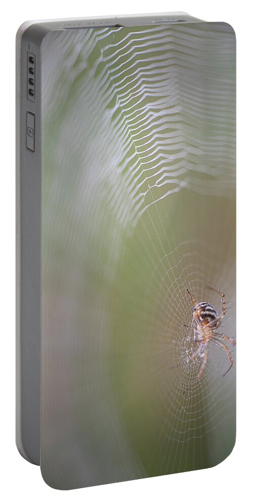Spider Portable Battery Charger featuring the photograph Spider On Dewy Web by Karen Rispin