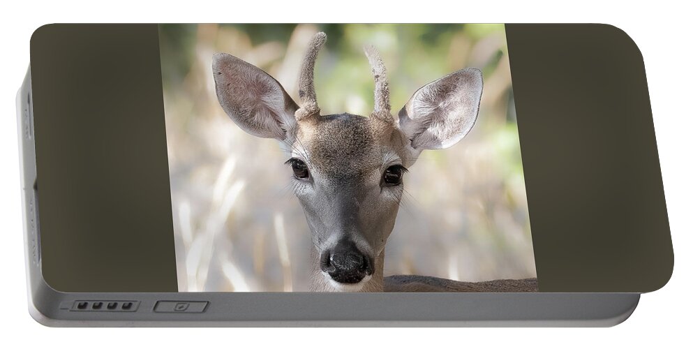Deer Portable Battery Charger featuring the photograph Spike Buck in Velvet by Cheri Freeman
