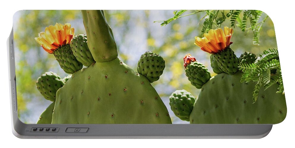 Cactus Portable Battery Charger featuring the photograph Spineless Prickly Pear Cactus Blooms by Marianne Campolongo