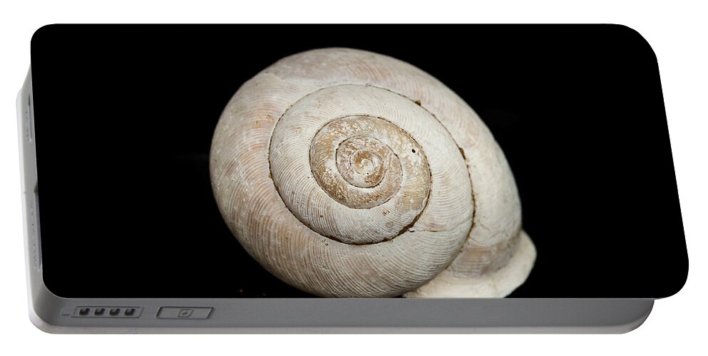 Black Portable Battery Charger featuring the photograph Spiral Shell by Amelia Pearn