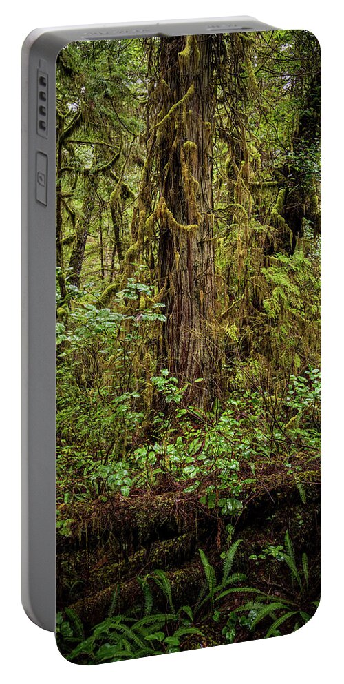 Tree Portable Battery Charger featuring the photograph Spirit of the Rainforest by Stephen Sloan