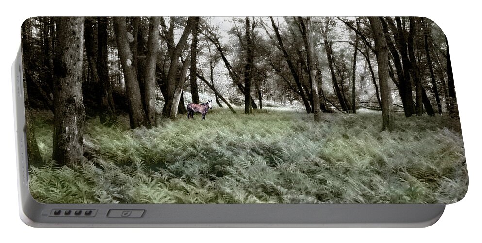 Spring Portable Battery Charger featuring the photograph Spirit Pony in a Floodplain Fernwood by Wayne King