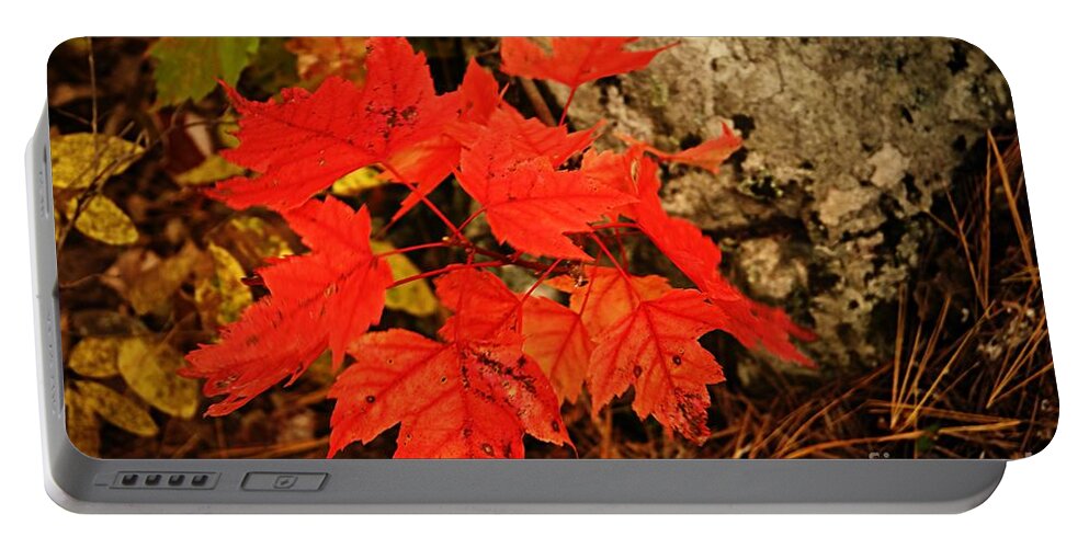 Landscape Portable Battery Charger featuring the photograph Splash of Autumn by Larry Ricker