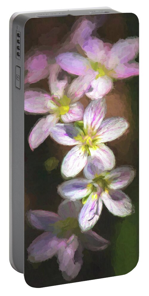 Wildflowers Portable Battery Charger featuring the photograph Spring Beauties by Linda Shannon Morgan