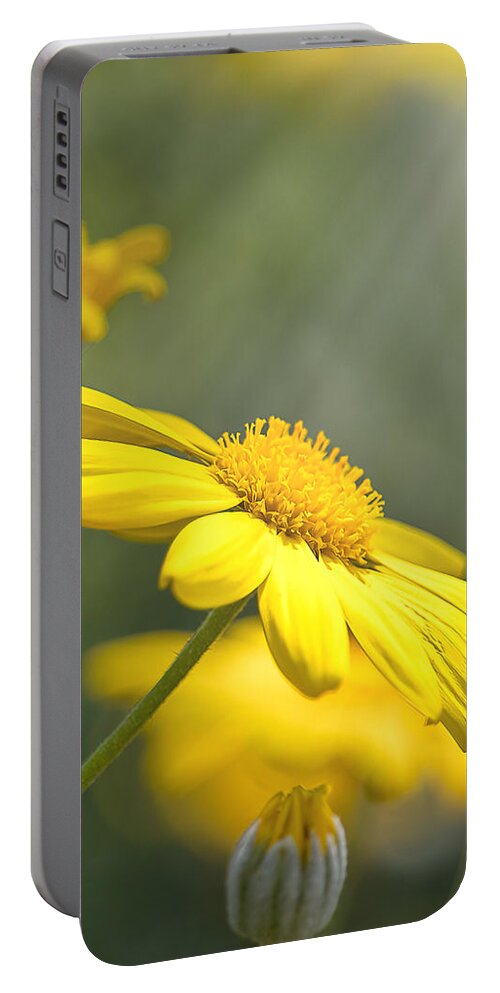 Background Portable Battery Charger featuring the photograph Spring Bloom by Rick Nelson