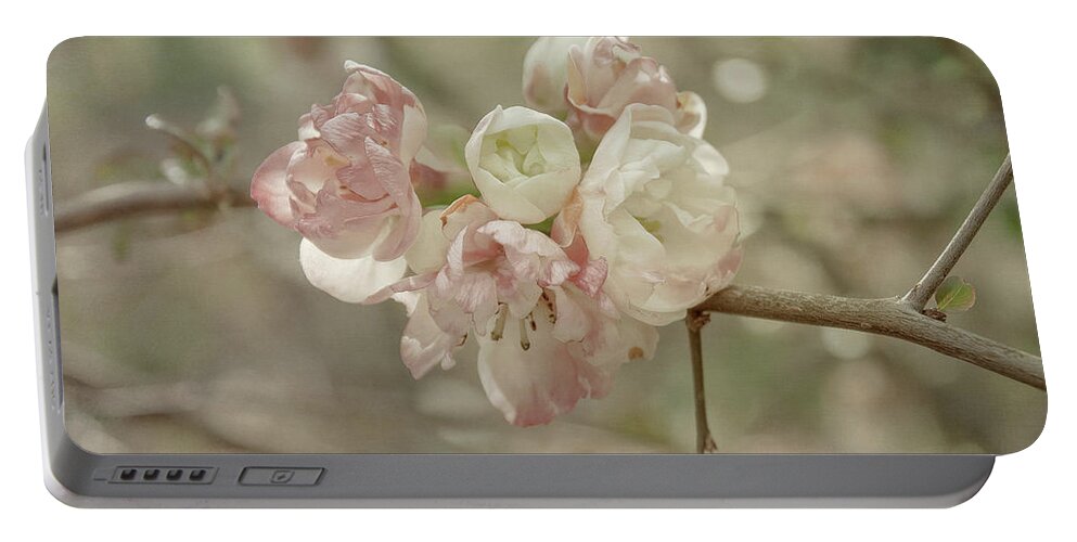 Blossom Portable Battery Charger featuring the photograph Spring Blossom by Elaine Teague