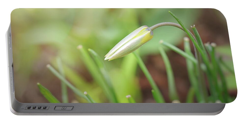 Flower Portable Battery Charger featuring the photograph Spring Bud by Scott Norris