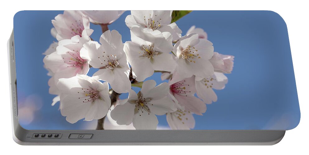 Georgia Portable Battery Charger featuring the photograph Spring Cherry Bloooms by David R Robinson