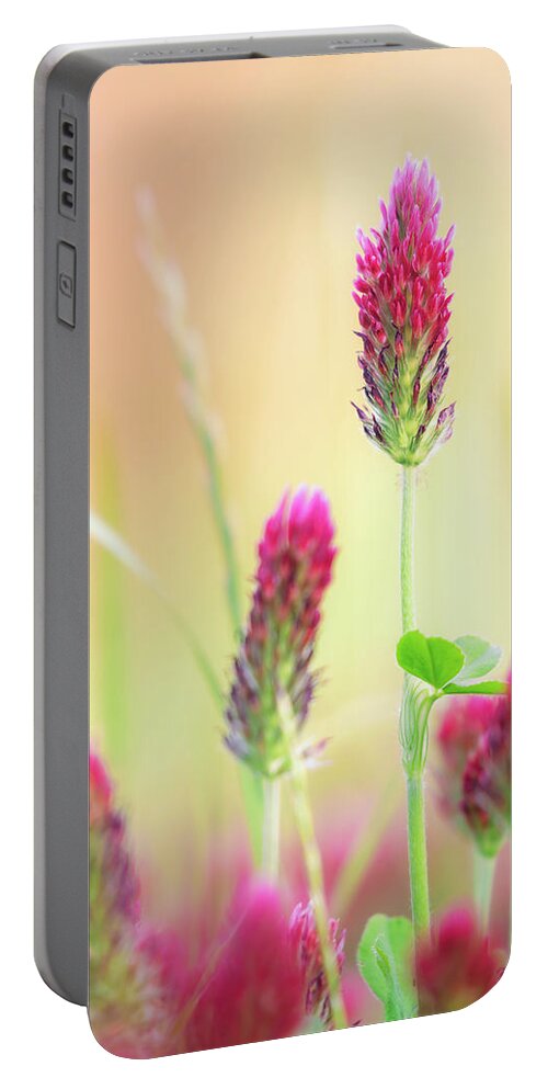 Crimson Clover Portable Battery Charger featuring the photograph Spring Crimson Clover Natchez Trace Parkway Mississippi 2 by Jordan Hill