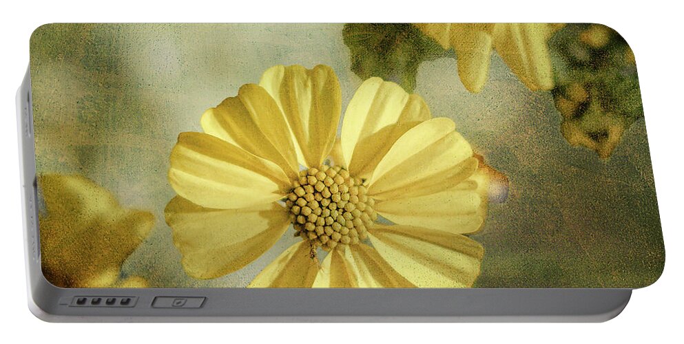 Tucson Portable Battery Charger featuring the photograph Spring Desert Marigold by Steve Kelley