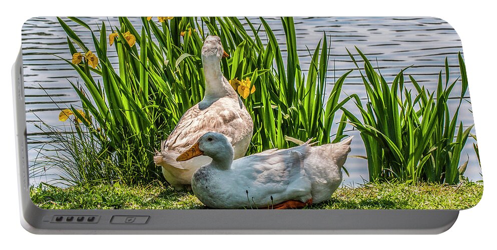 Ducks Portable Battery Charger featuring the photograph Spring Ducks by Cathy Kovarik