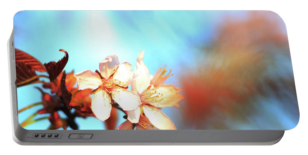 Cherry Portable Battery Charger featuring the photograph Spring in the air by Maria Dimitrova