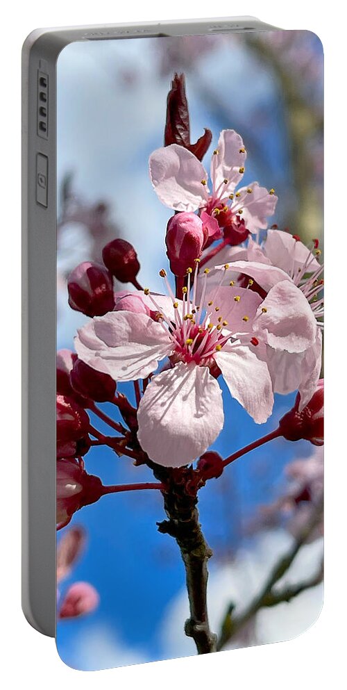 Spring Portable Battery Charger featuring the photograph Spring Is In The Air by Brian Eberly