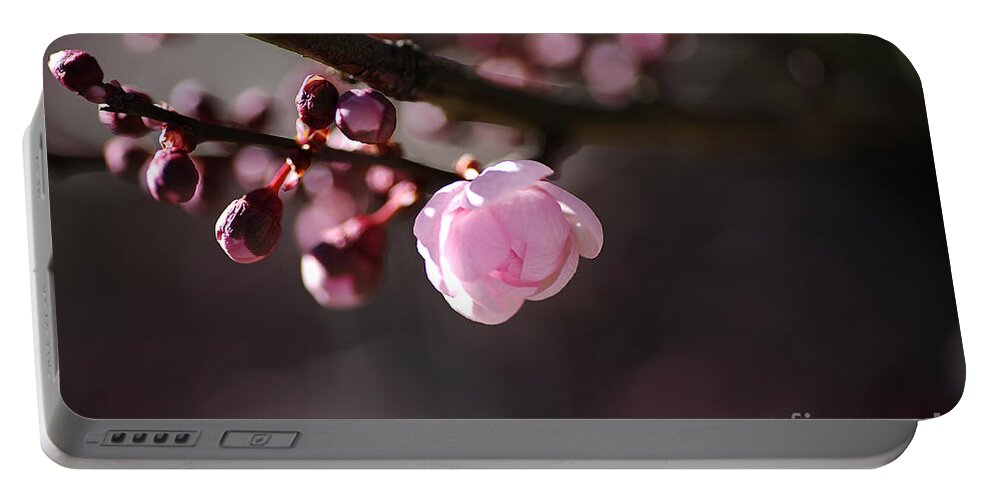Floral Portable Battery Charger featuring the photograph Spring Pink Blossom by Joy Watson