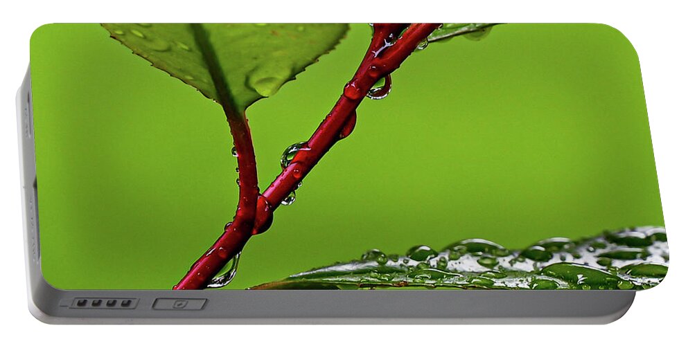 Spring Portable Battery Charger featuring the photograph Spring Rain by Kevin Suttlehan