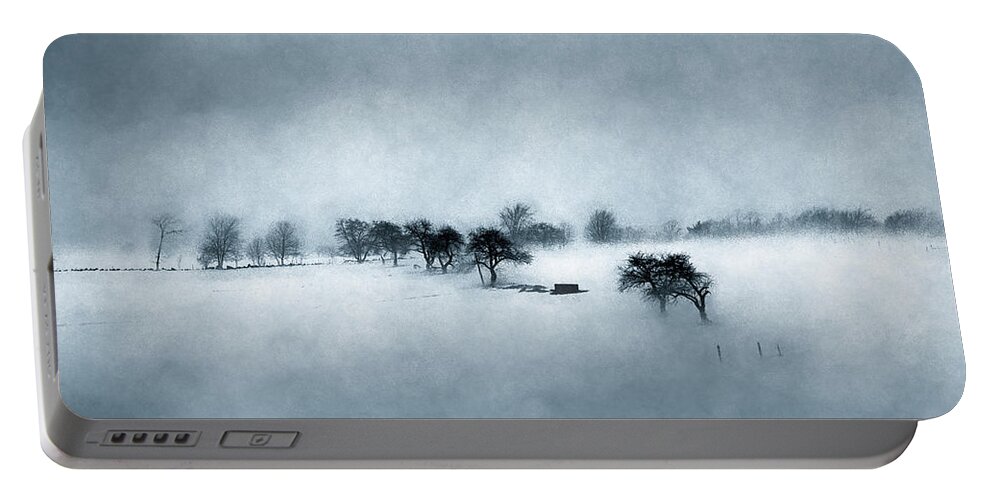 Mist Portable Battery Charger featuring the photograph Spring Struggles Forward by Wayne King