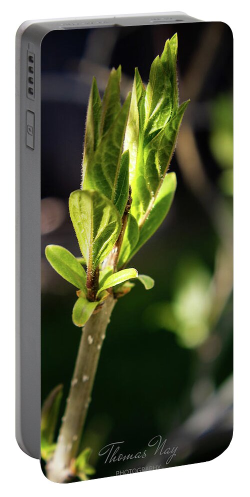 Blossom Portable Battery Charger featuring the photograph Spring by Thomas Nay