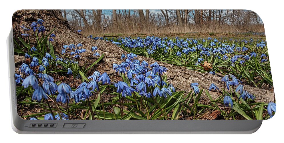 Spring Time Flowers Portable Battery Charger featuring the photograph Spring Time Flowers by Scott Olsen
