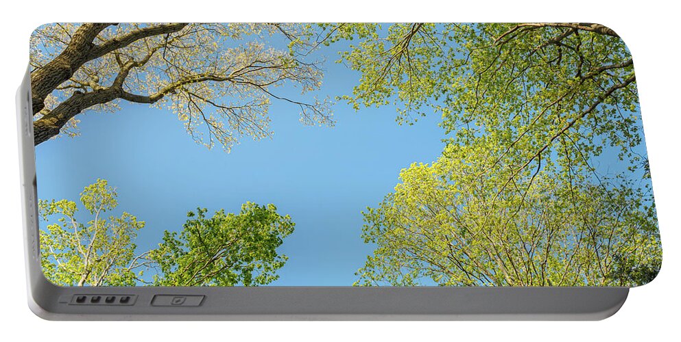 Spring Portable Battery Charger featuring the photograph Spring Trees Against the Sky by Marianne Campolongo