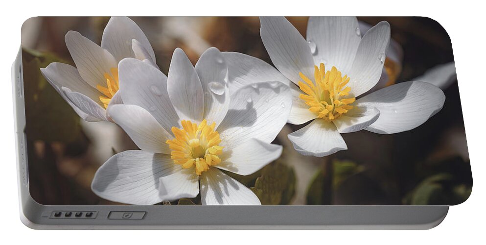 Spring Portable Battery Charger featuring the photograph Spring Trio by Scott Norris