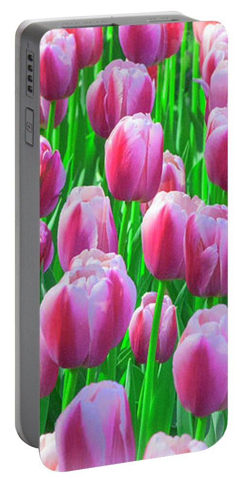 Easter Portable Battery Charger featuring the mixed media Spring Tulips by Moira Law