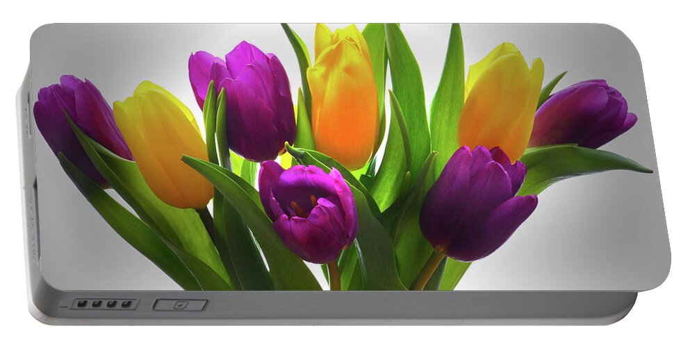 Tulips Portable Battery Charger featuring the photograph Spring Tulips by Terence Davis