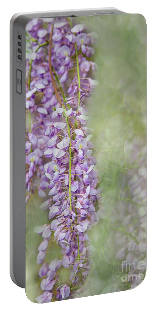 Sunnylea Portable Battery Charger featuring the photograph Spring Waltz of the Wisteria by Marilyn Cornwell