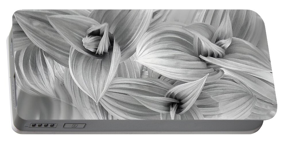 Skunk Portable Battery Charger featuring the photograph Spring's Dance of Form by Wayne King