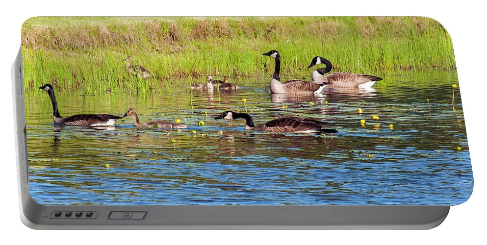 Geese Portable Battery Charger featuring the photograph Springtime At The Pond by Cathy Kovarik