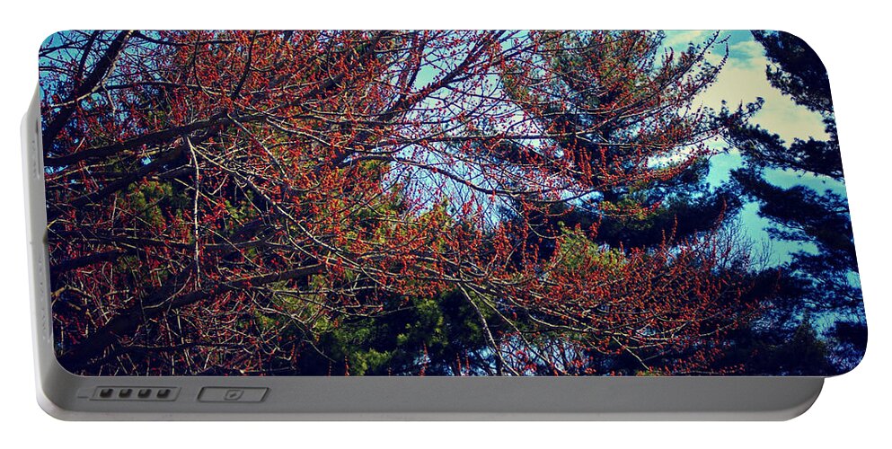 Seasons Portable Battery Charger featuring the photograph Springtime Budding in the Trees by Frank J Casella