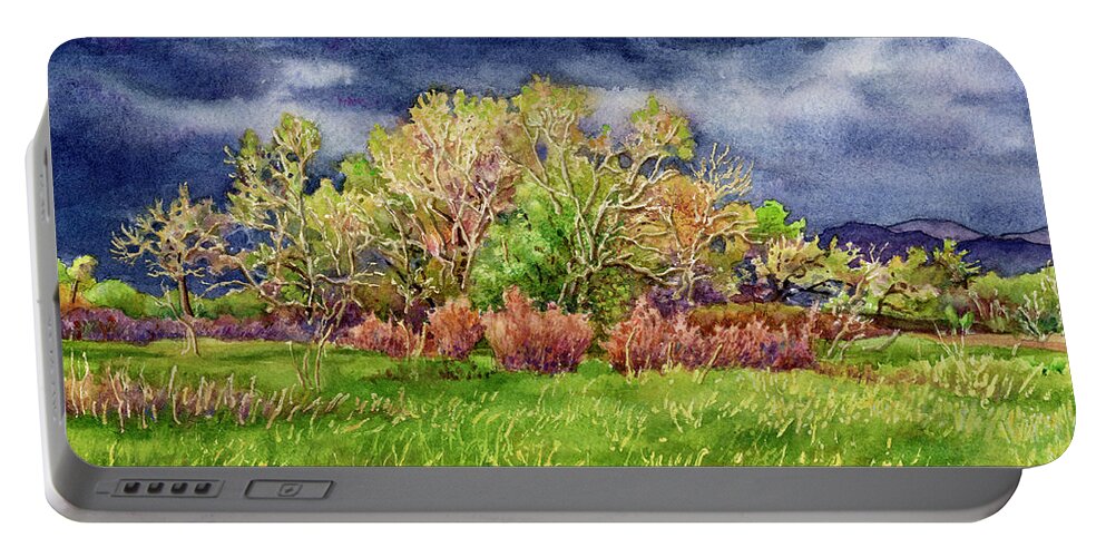 Stormy Sky Painting Portable Battery Charger featuring the painting Springtime Stormy Sky by Anne Gifford