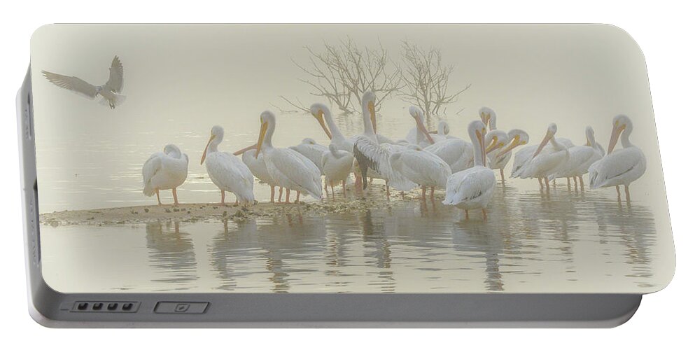 White Portable Battery Charger featuring the photograph Squadron in the Fog by Christopher Rice