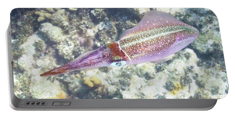 Squid Portable Battery Charger featuring the photograph Squid Pro Quo by Lynne Browne