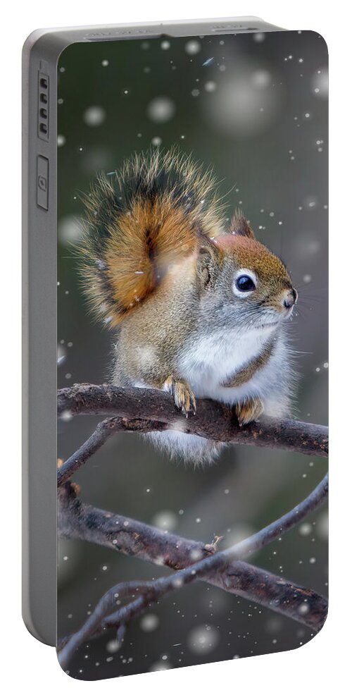 Squirrel Portable Battery Charger featuring the photograph Squirrel Balancing Act by Patti Deters