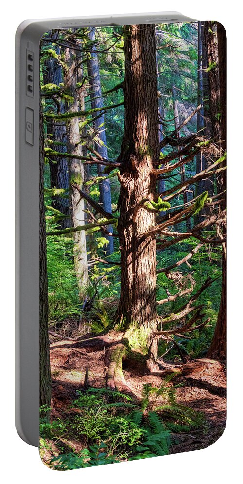 Redmond Watershed Preserve Portable Battery Charger featuring the photograph Squirrel Trail I-2022.10.1 by Phyllis McDaniel