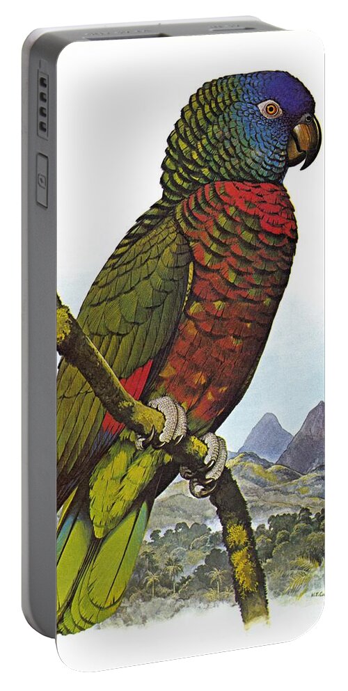 Amazon Portable Battery Charger featuring the drawing St Lucia Amazon Parrot by Granger