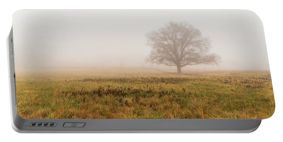 Scenic Portable Battery Charger featuring the photograph Standing Alone by Amelia Pearn