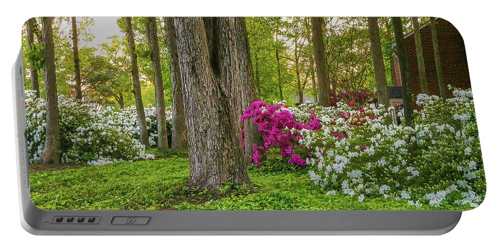 Azaleas Portable Battery Charger featuring the photograph Standing Tall Amongst the Azaleas in Hampton Roads Virginia by Ola Allen