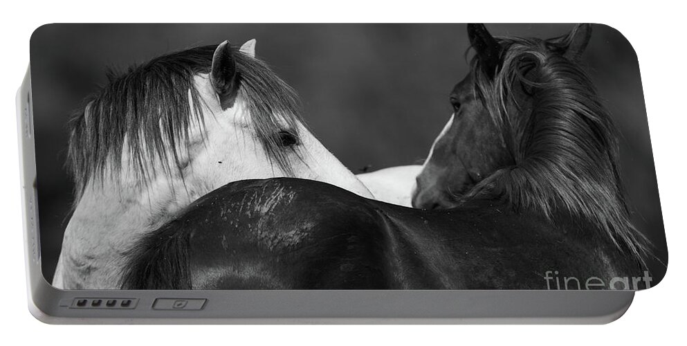 Stallions Portable Battery Charger featuring the photograph Stare Down by Shannon Hastings